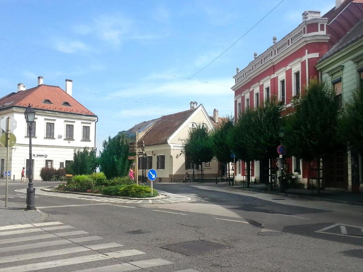 Central Apartment