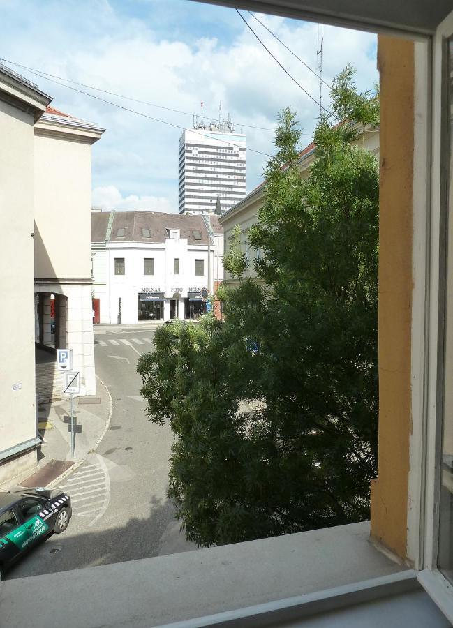 Central Apartment